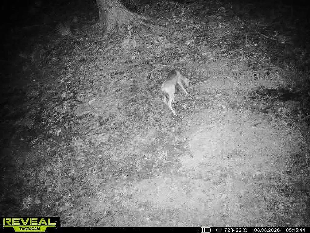Picture 28