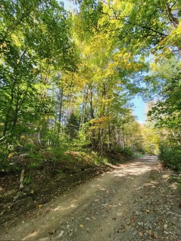 Picture 17
