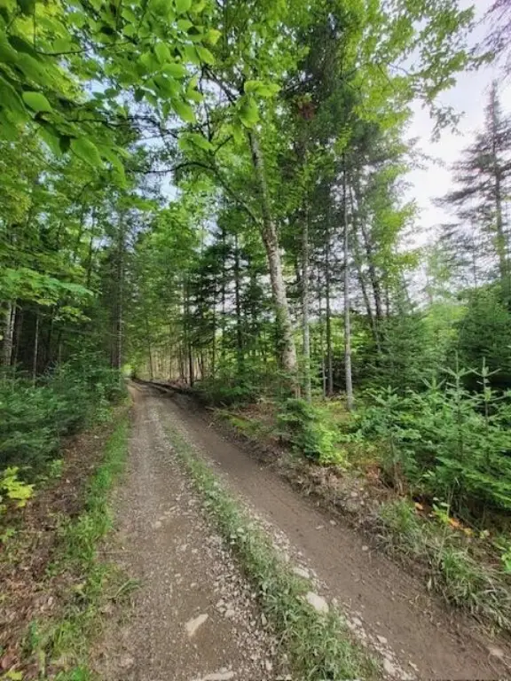 Picture 18
