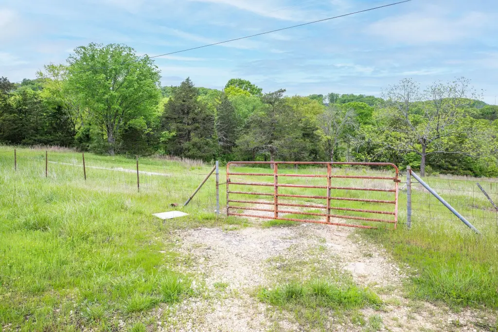 Picture 6