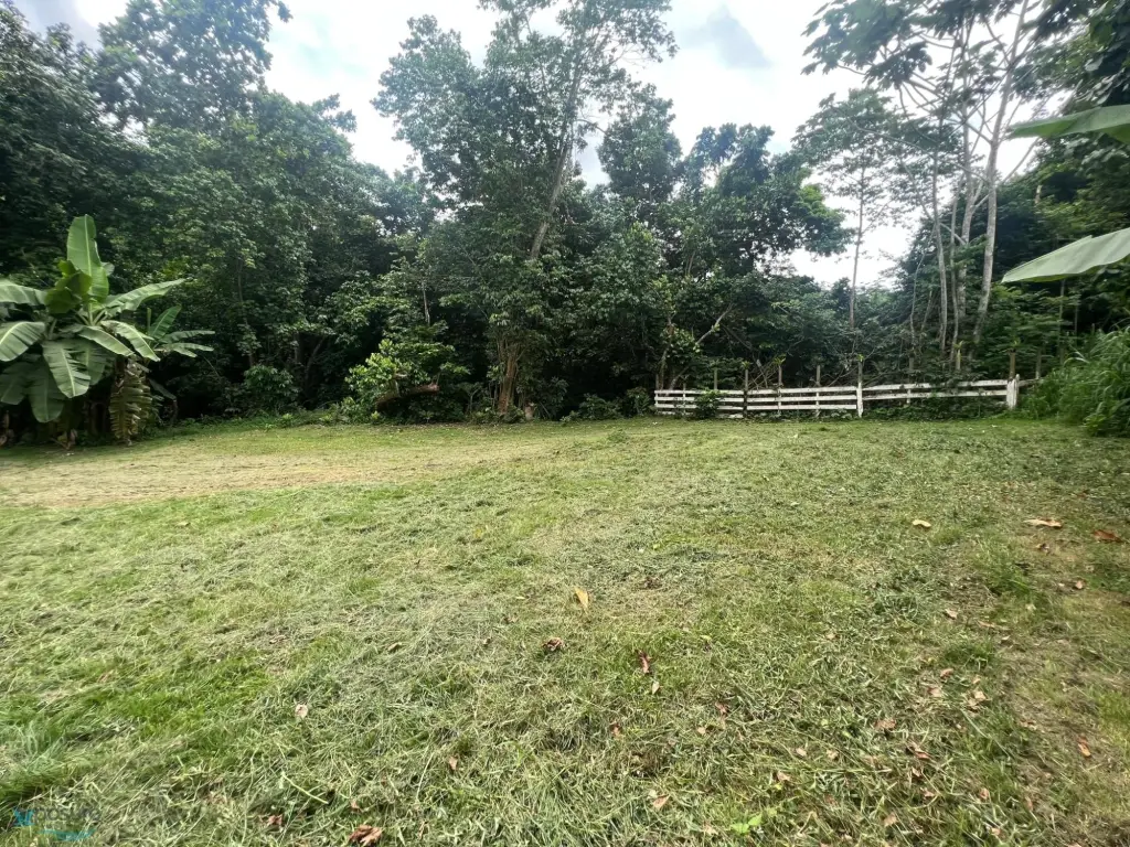 Picture 23