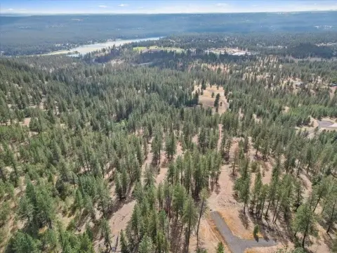 Forested Recreation Land