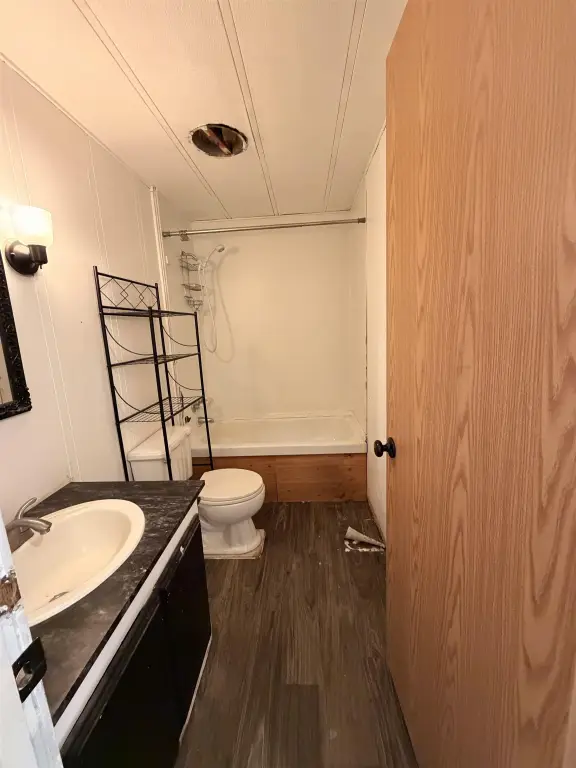 Picture 16