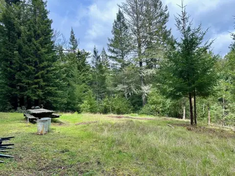 23+ Acre Timber Production Parcel