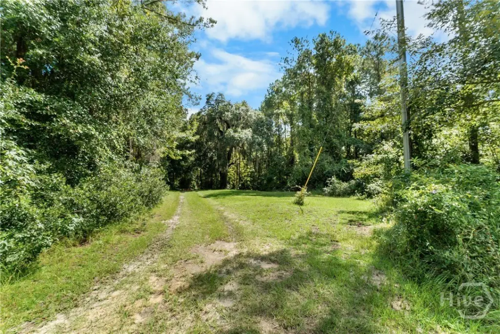 Picture 14