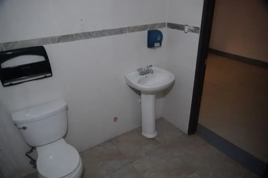 Picture 15