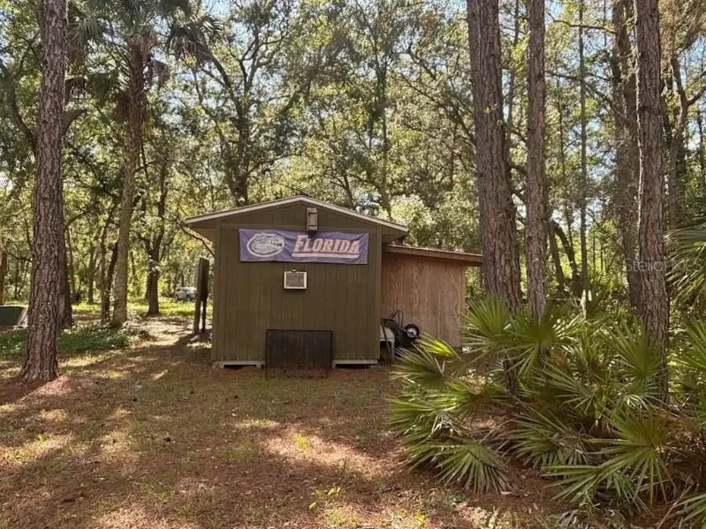 Picture 5