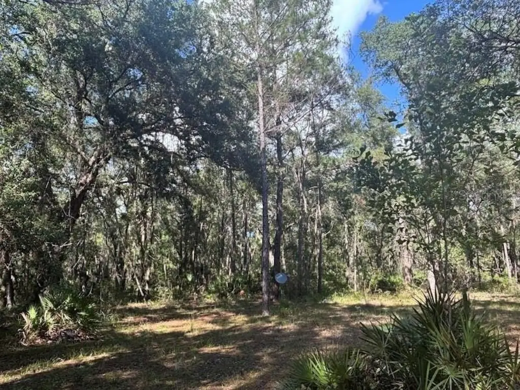 Picture 21