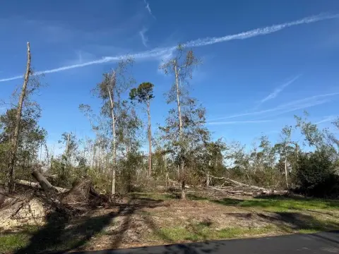 Hazlehurst Acreage with Highway Exposure