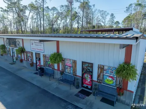 Established Business with Multiple Income