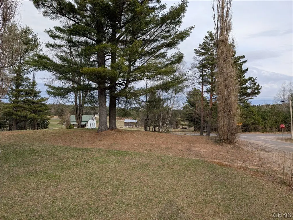 Picture 29