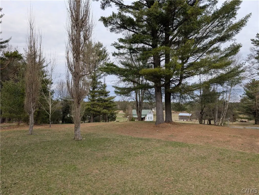 Picture 28