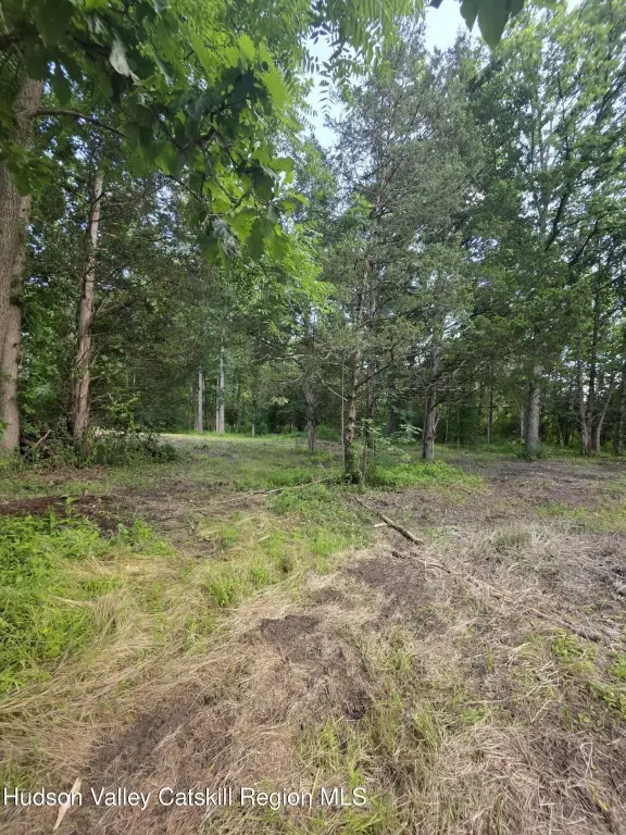 Picture 9