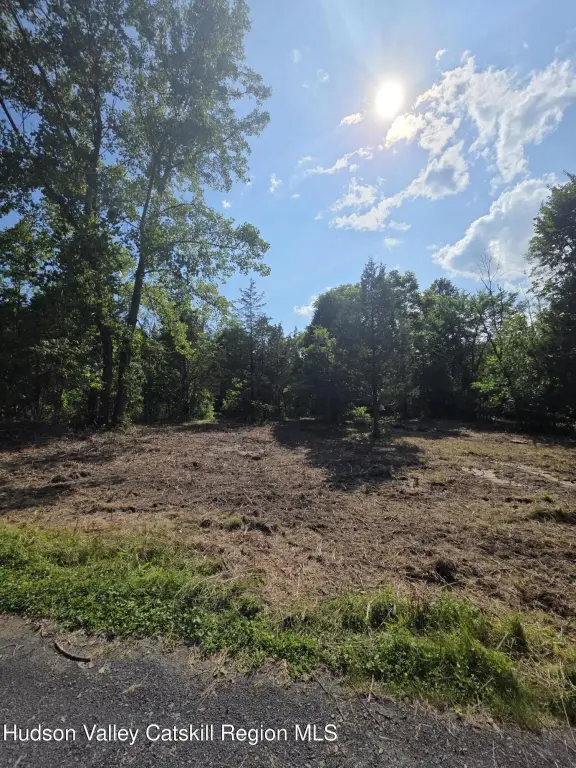 Picture 21