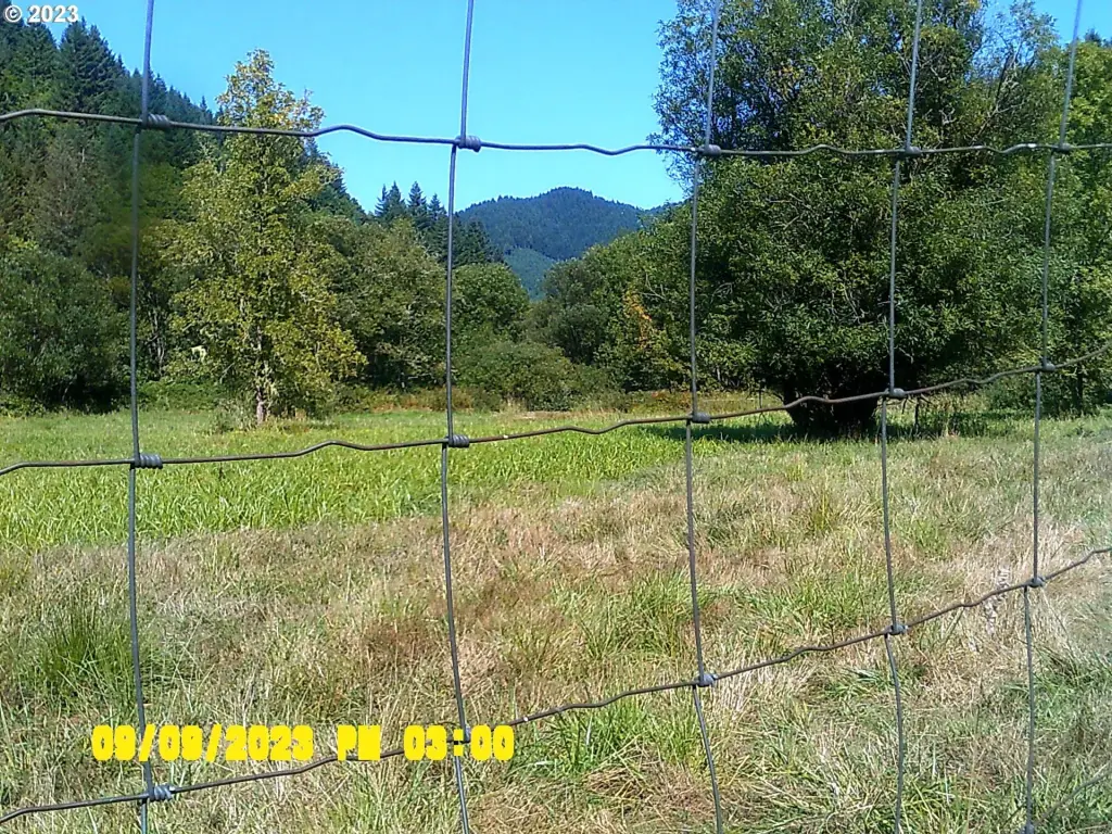 Picture 48