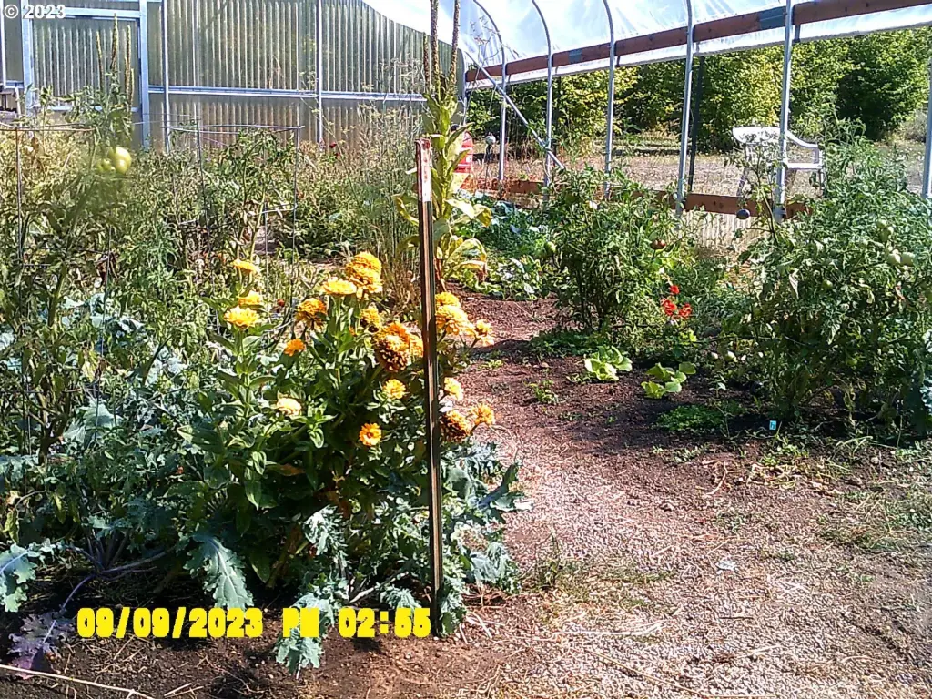 Picture 47