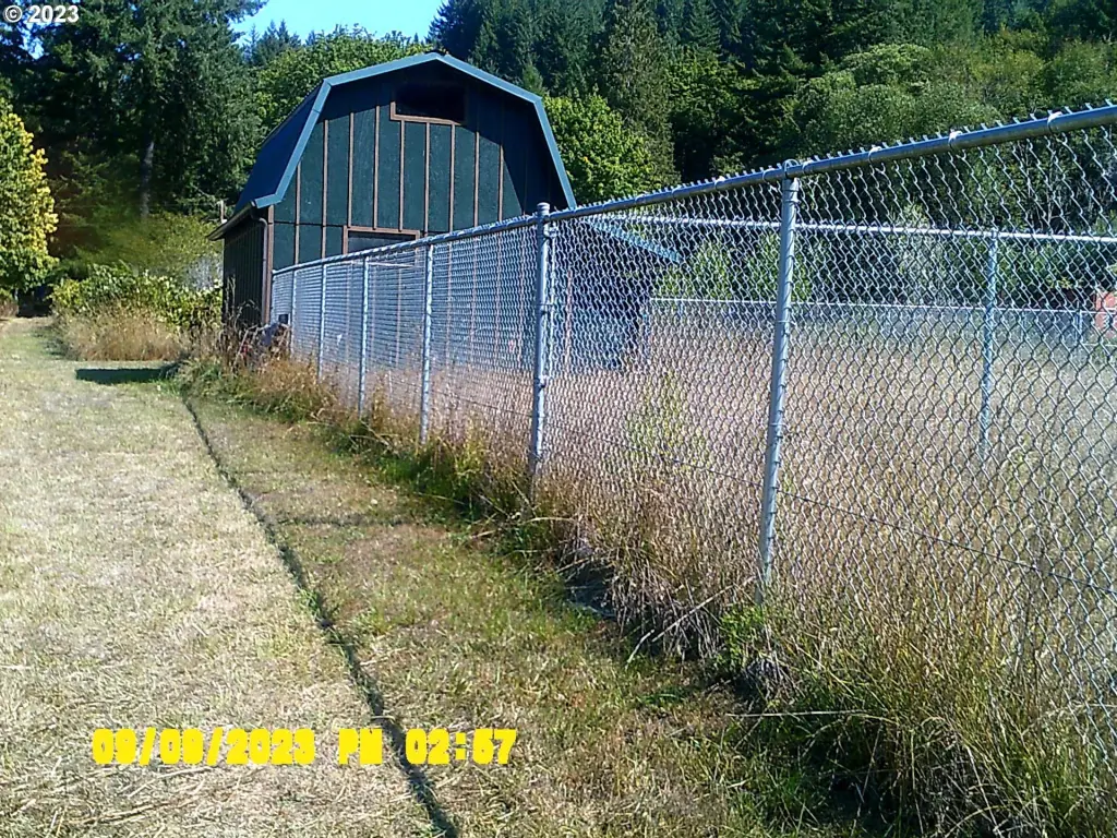 Picture 46