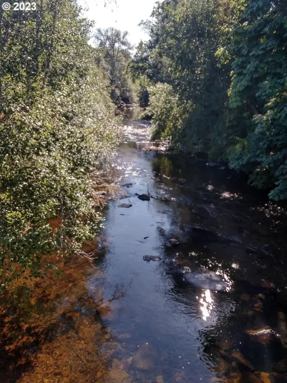 Picture 25