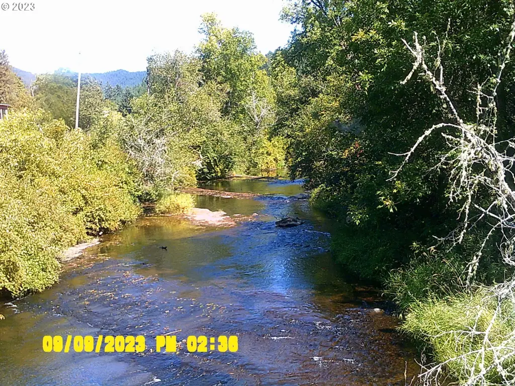 Picture 42