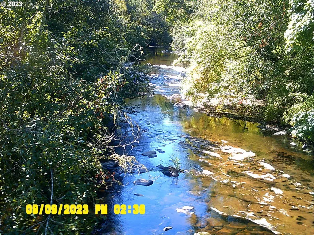 Picture 43