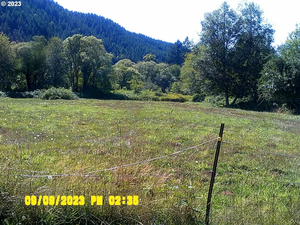 Picture 44
