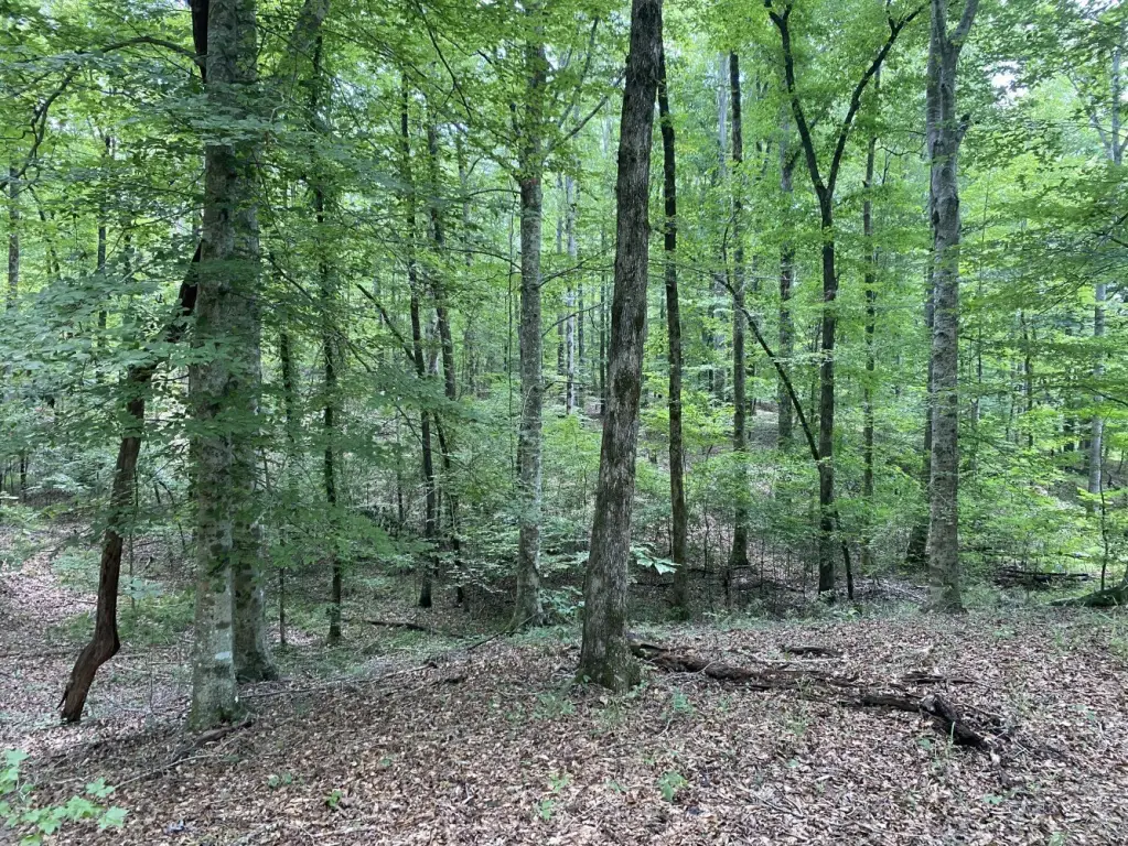 Picture 10