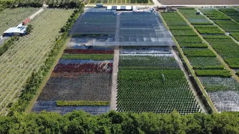 Turnkey Nursery Business on 5 Acres