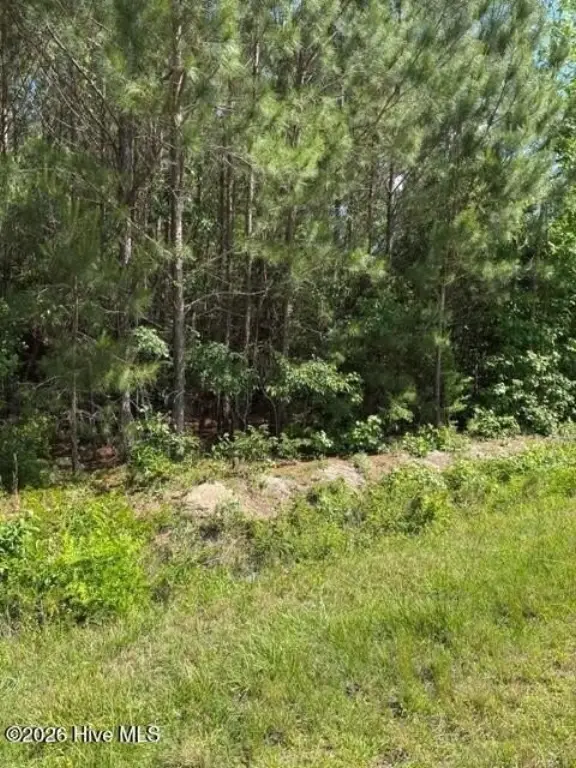 Picture 3