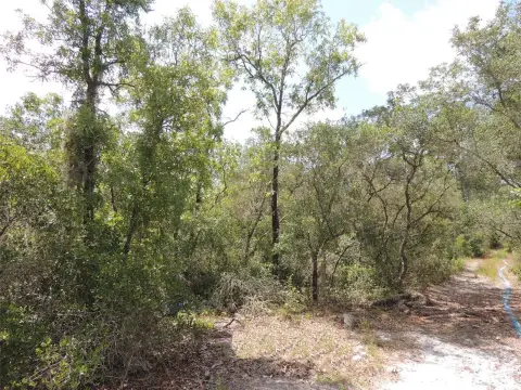 Cedar Key Acreage Building Lot