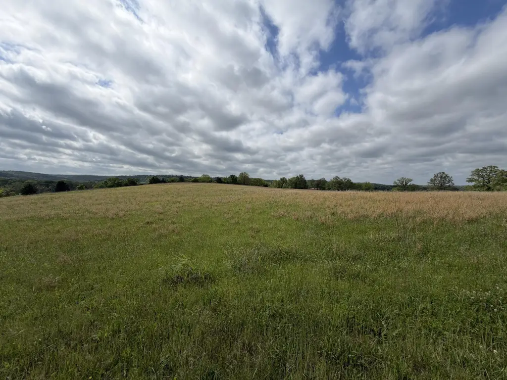 Picture 27