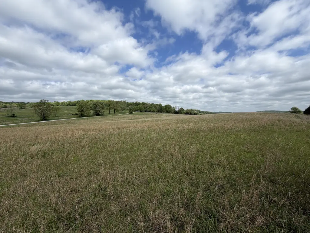 Picture 19