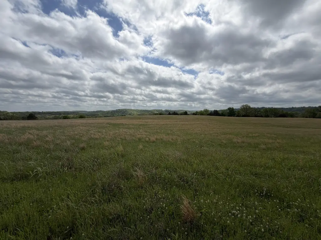 Picture 12