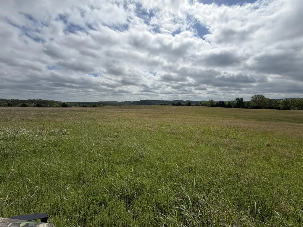 Picture 21