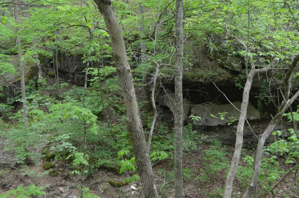 Picture 14