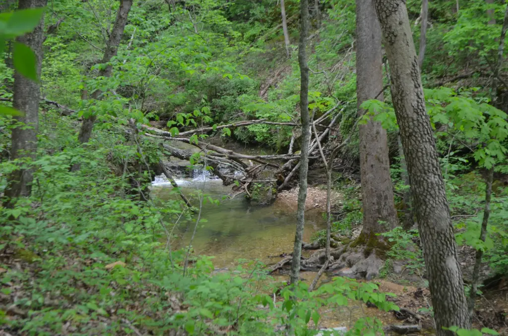 Picture 17
