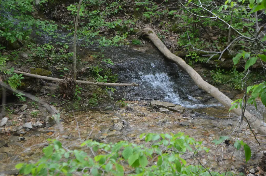 Picture 16