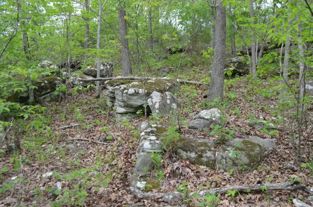 Picture 13