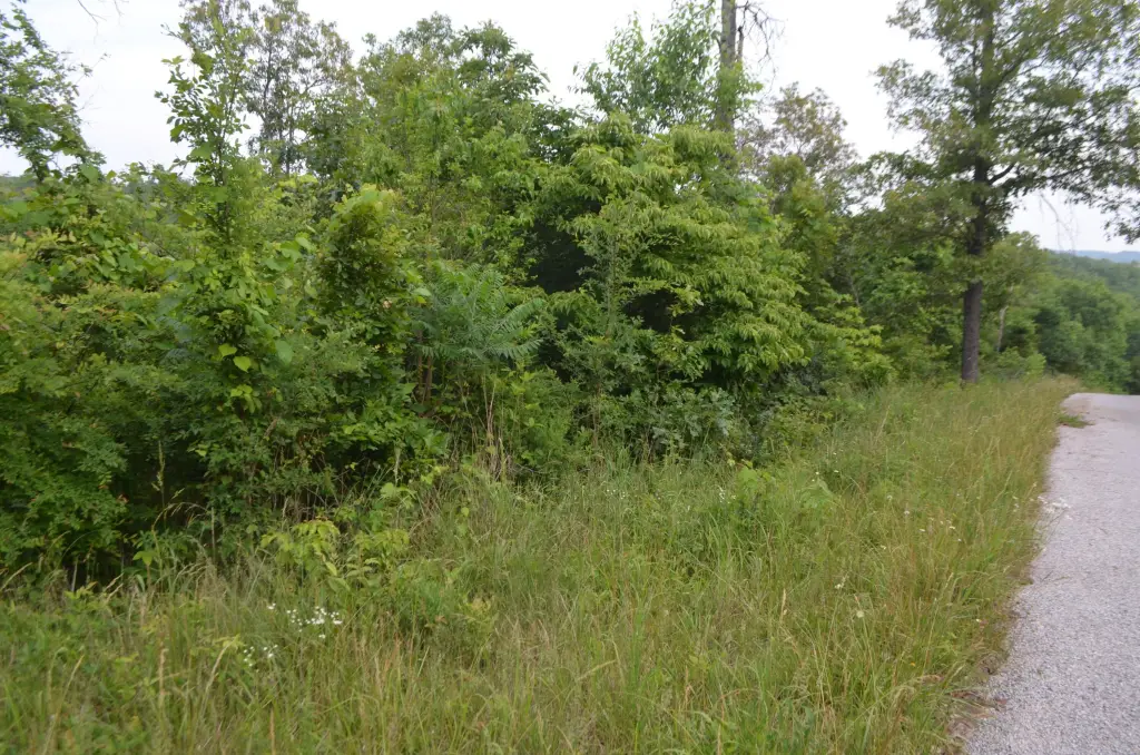 Picture 6