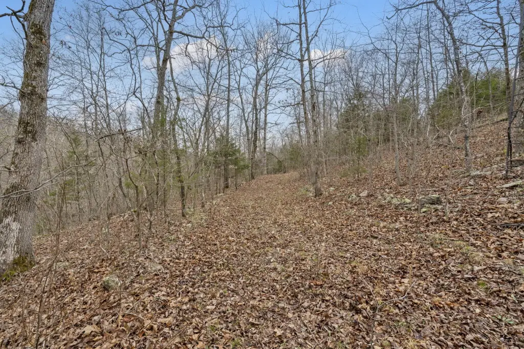 Picture 11