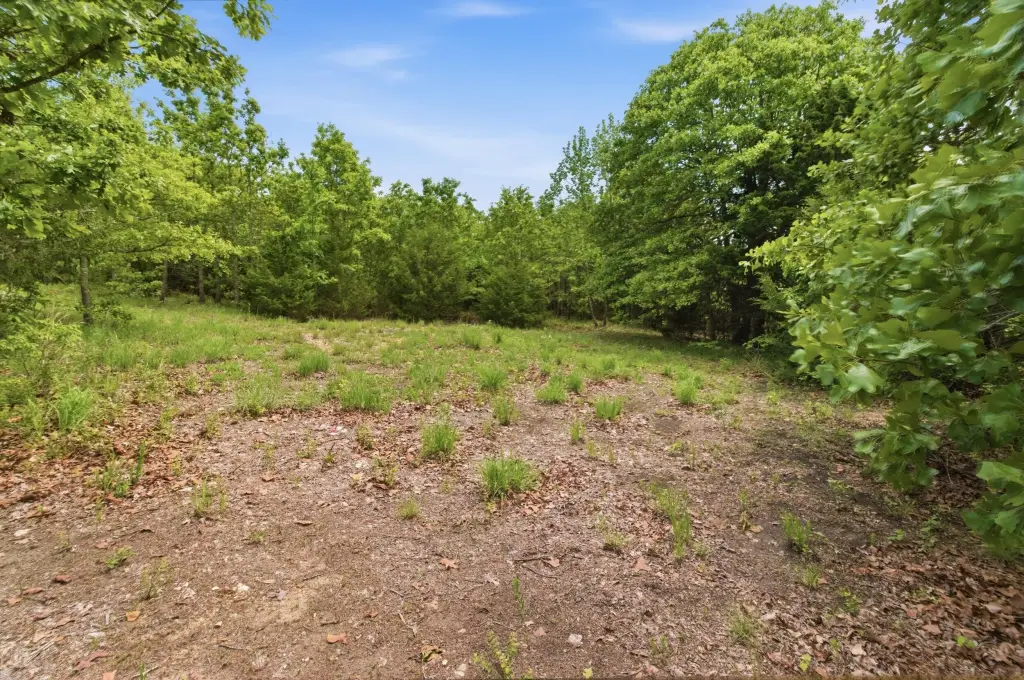 Picture 18