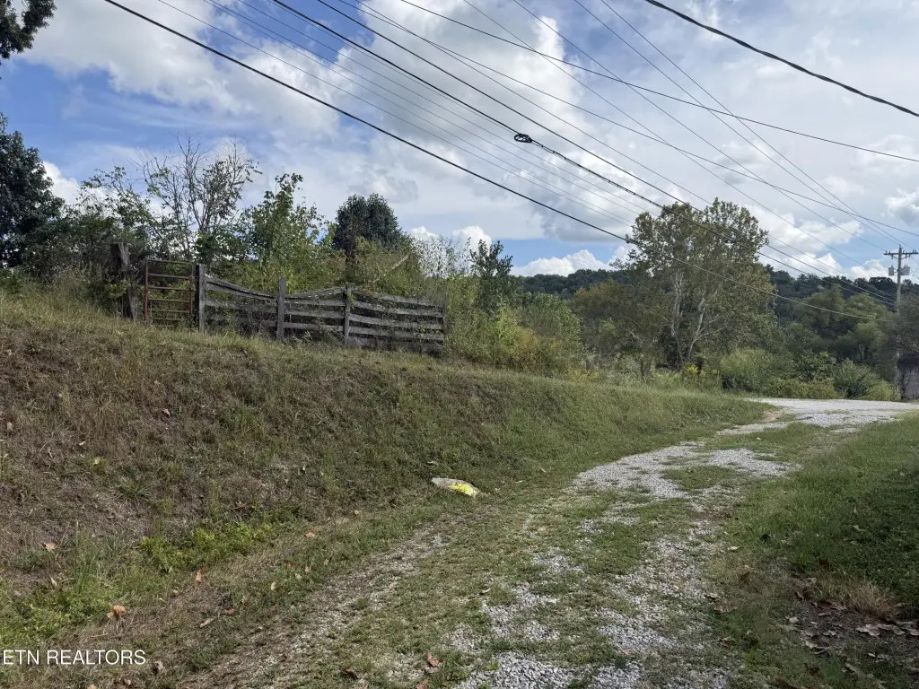 Picture 17