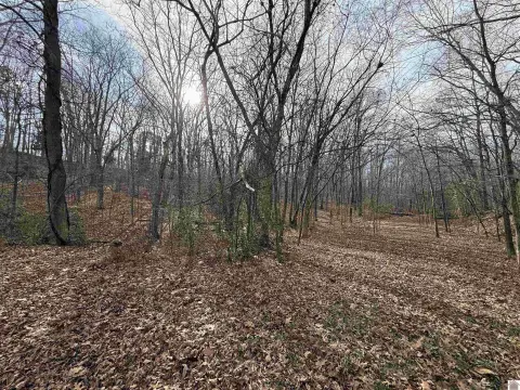 Wooded Lot with Water View