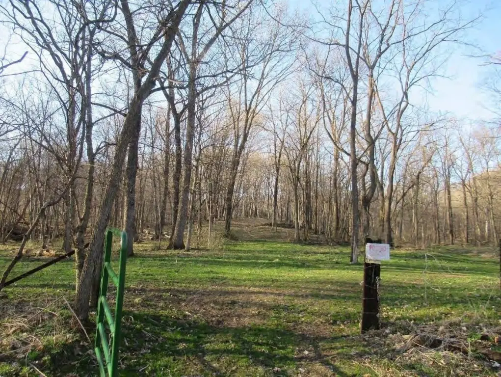 Picture 8