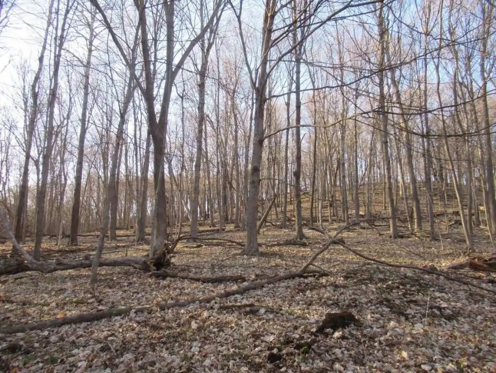 Picture 10