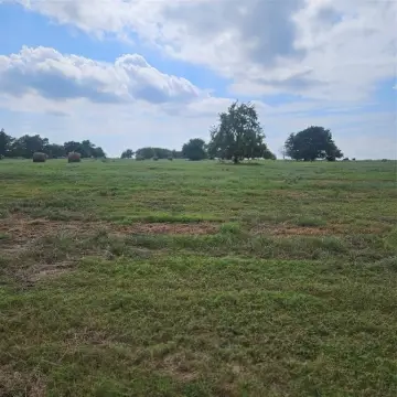 13 Acres of Open Land