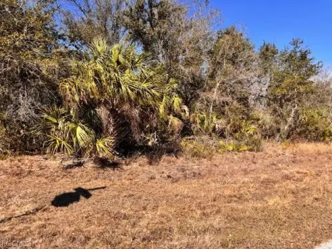 Residential Lot in Port Charlotte