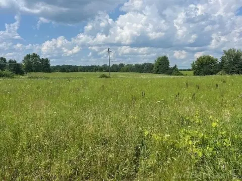 Cleared 10-Acre Parcel, Almont, MI