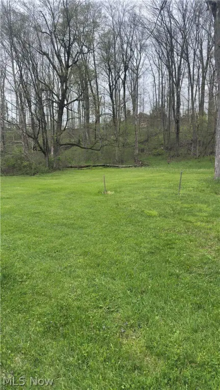 Picture 2