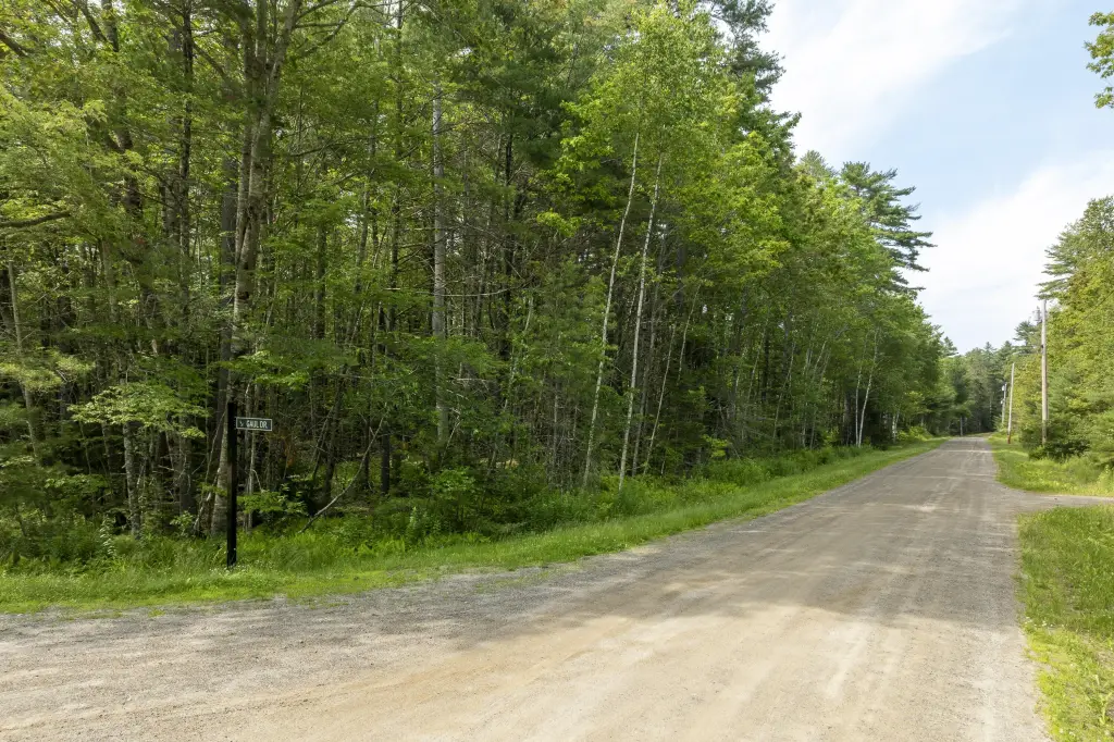 Picture 12