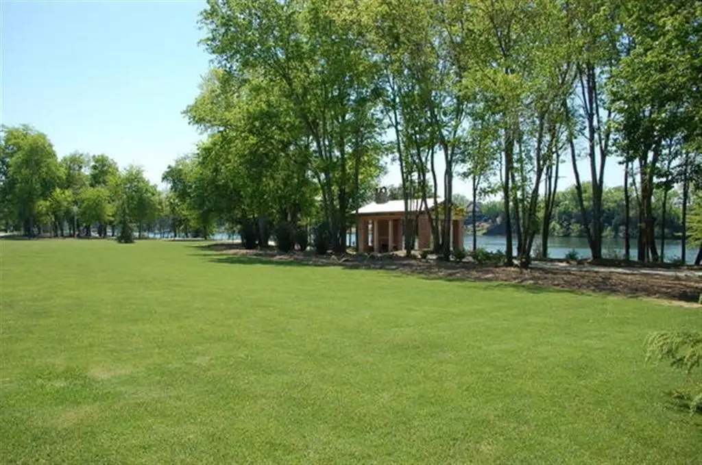 Picture 5